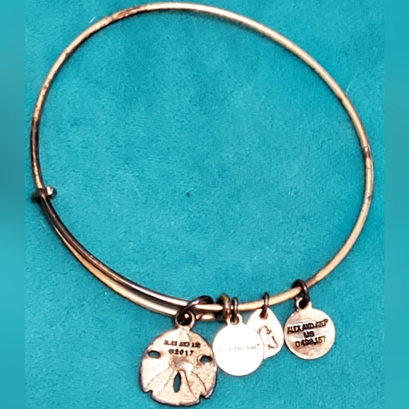 Alex & Ani sand dollar charm bangle, Rafaelian gold - Picture 2 of 5